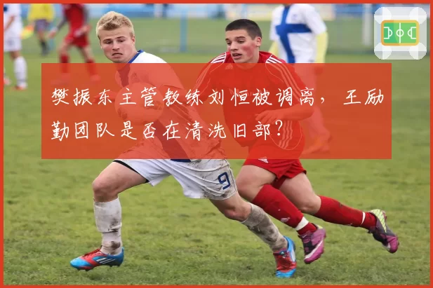 樊振东主管教练刘恒被调离，王励勤团队是否在清洗旧部？