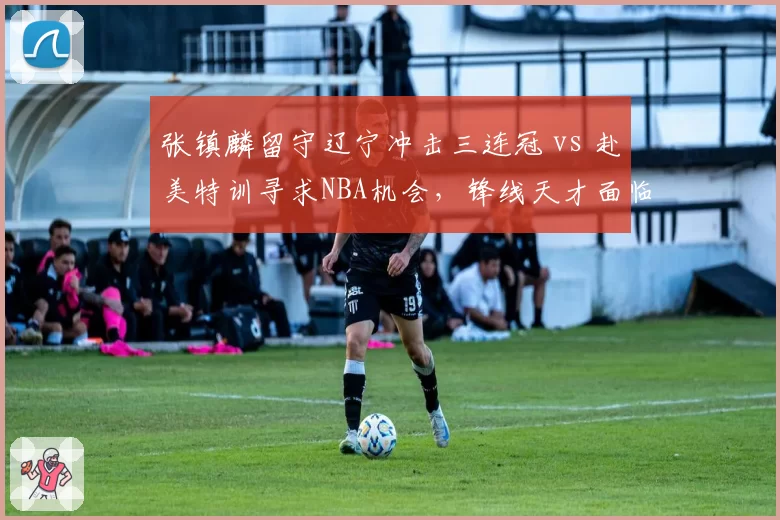 张镇麟留守辽宁冲击三连冠 vs 赴美特训寻求NBA机会，锋线天才面临十字路口