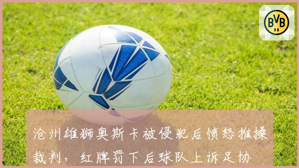 沧州雄狮奥斯卡被侵犯后愤怒推搡裁判,红牌罚下后球队上诉足协